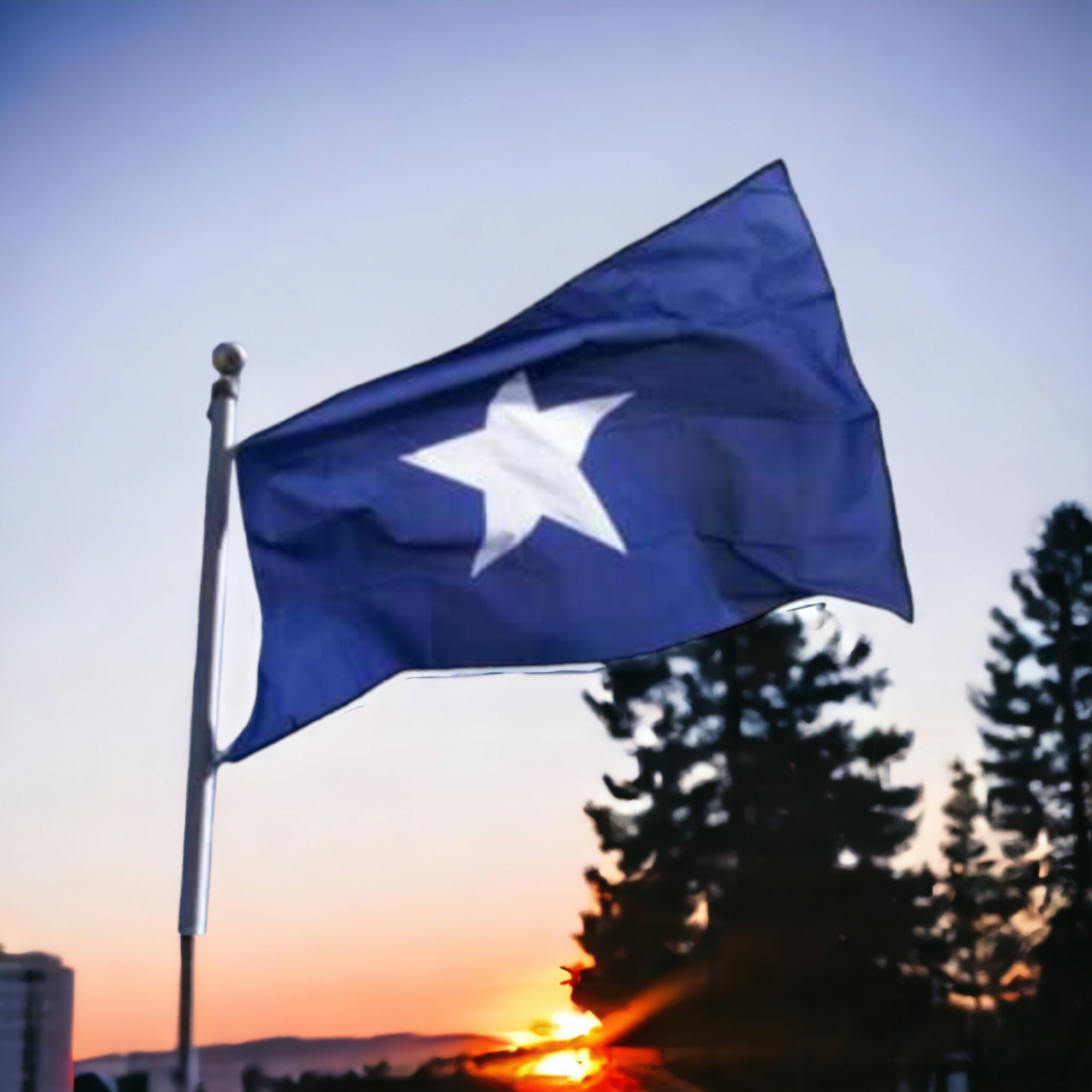 Bonnie Blue Flag