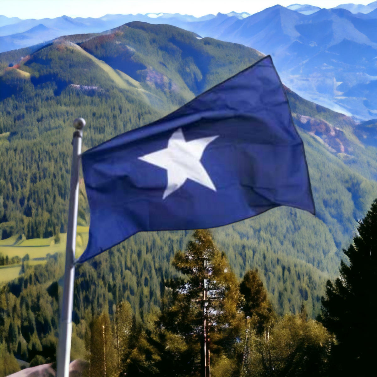 Bonnie Blue Flag
