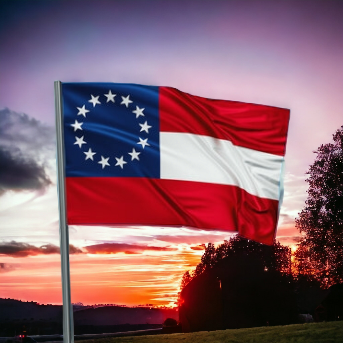 1st National w/ 13 Stars Flag