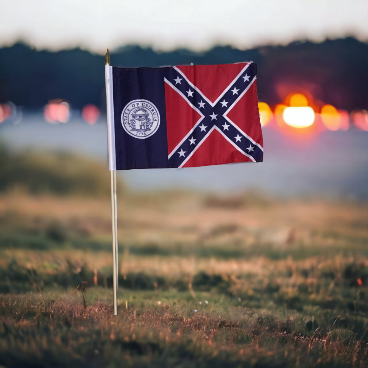 Old Georgia Gravesite Stick Flag