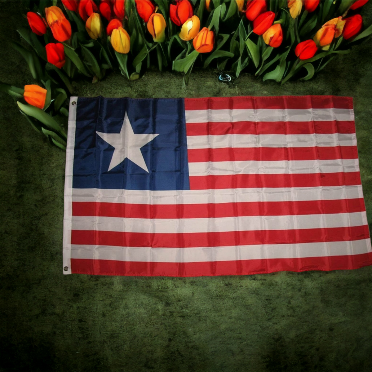 Florida Secession Flag