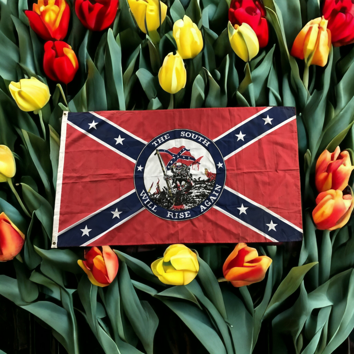 The South Will Rise Again Flag